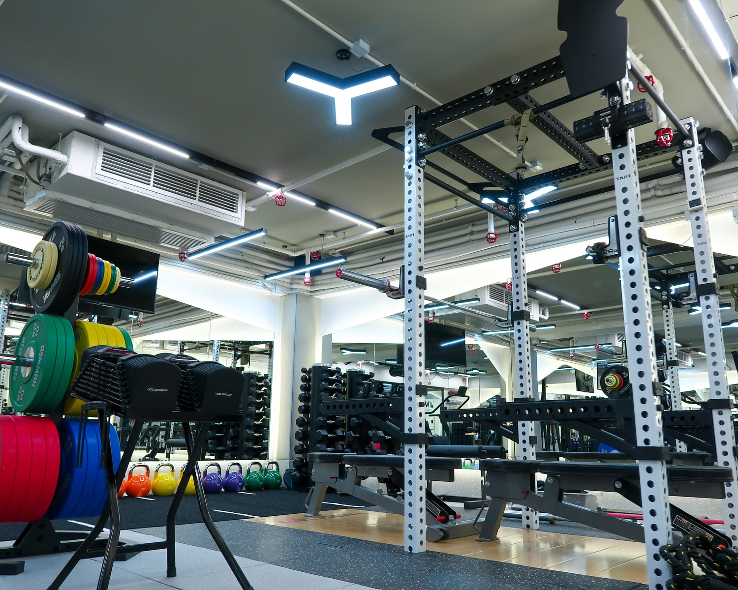 Causeway Bay Art Piece AP Academy Gym room Sport science 健身室 高隱私環境 專屬健身 銅鑼灣專業體能訓練