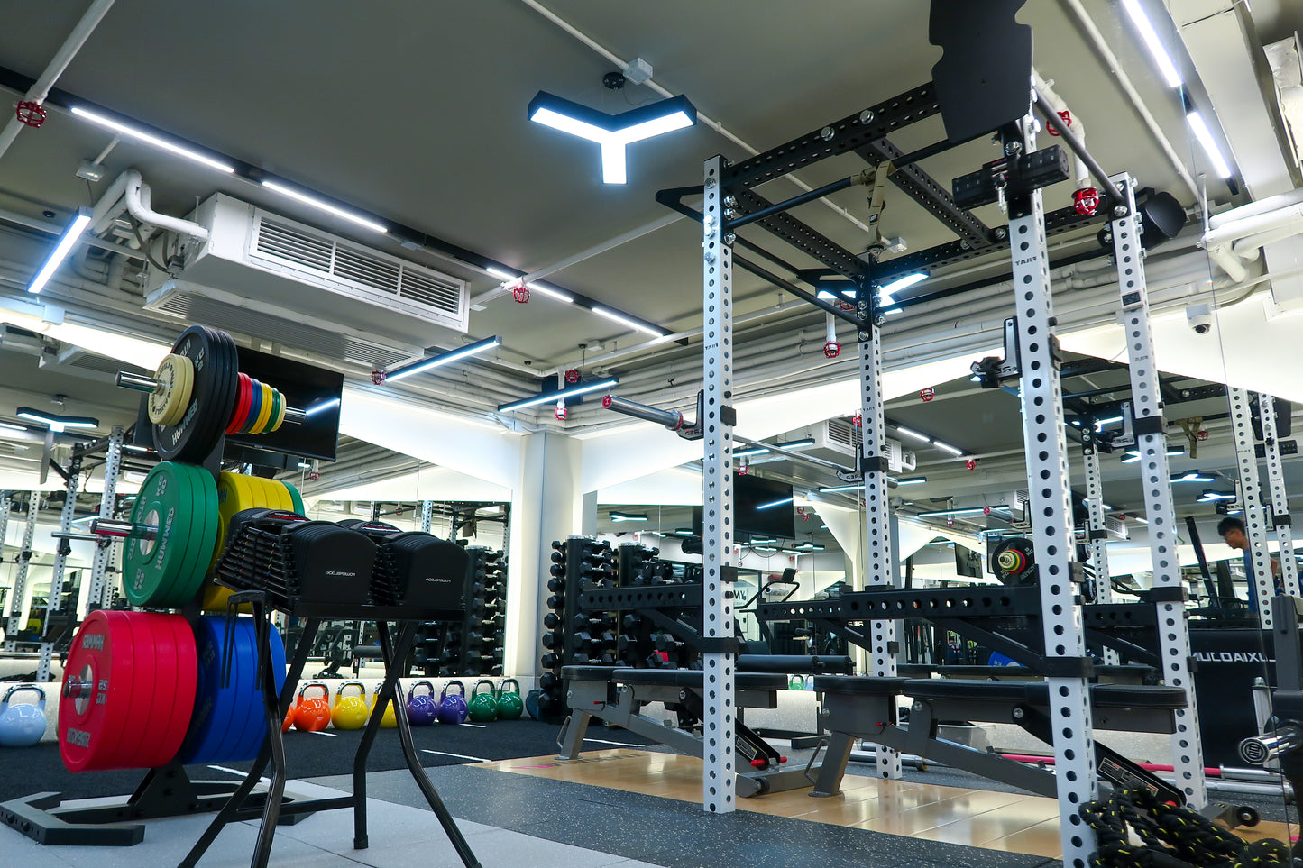 Causeway Bay Art Piece AP Academy Gym room Sport science 健身室  高隱私環境 專屬健身  銅鑼灣專業體能訓練